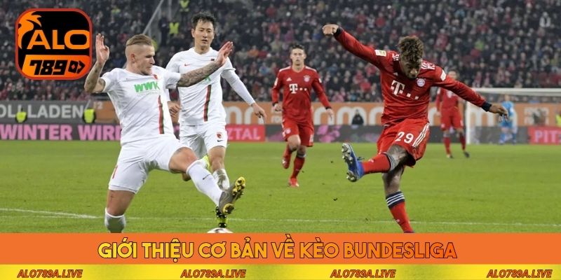 Giới thiệu cơ bản về kèo Bundesliga