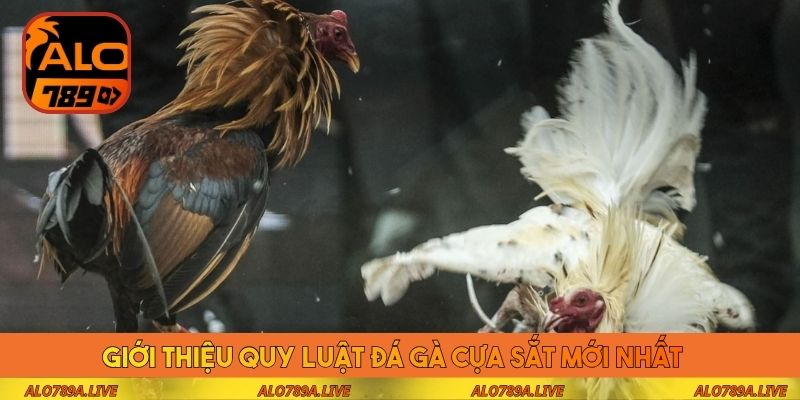 Giới thiệu quy luật đá gà cựa sắt mới nhất 