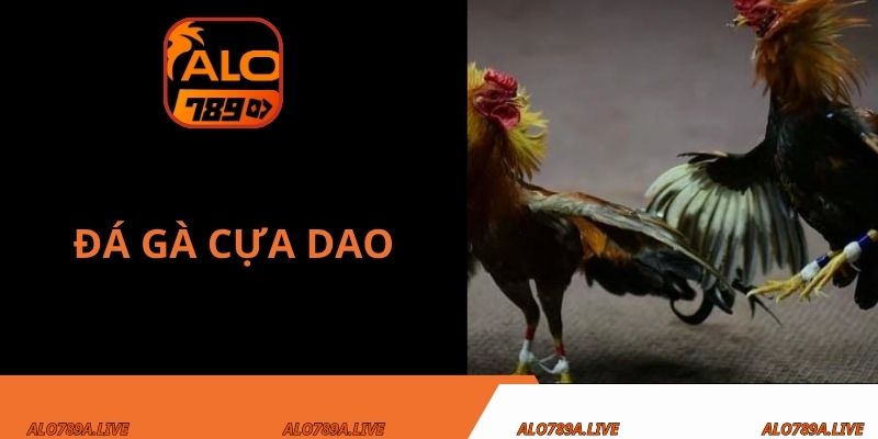 đá gà cựa dao